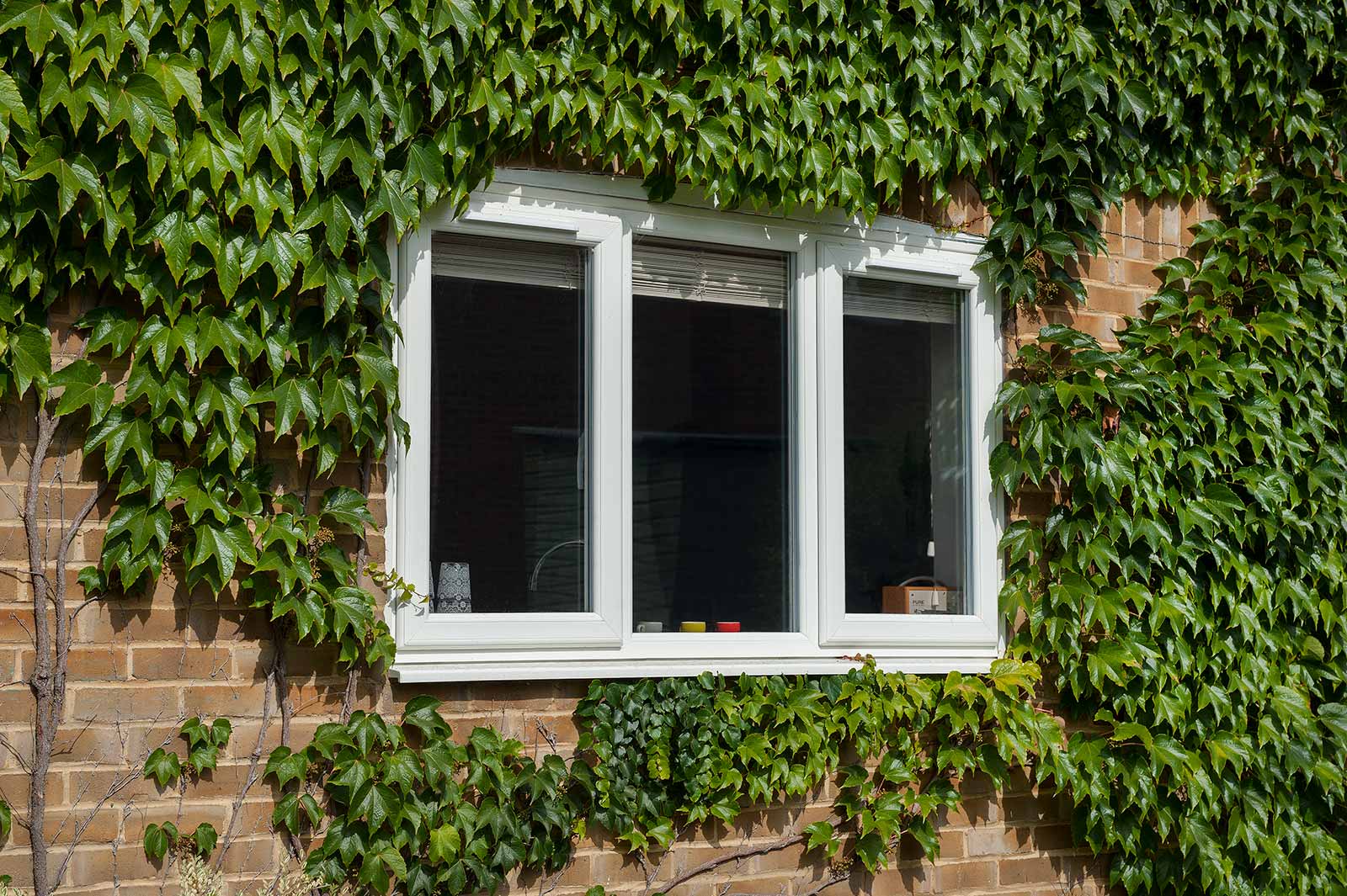 uPVC windows near me walton on the naze