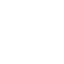 tick